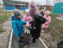оказывают первую помощь оказывают первую помощь.